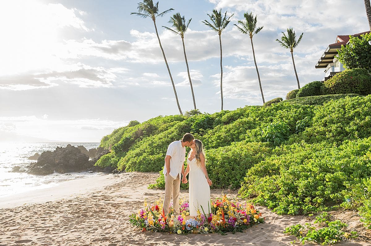 Maui Beach Proposal