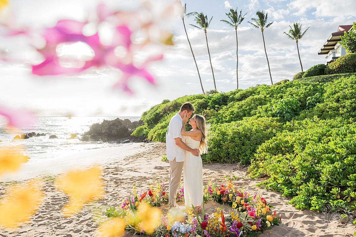 Maui Beach Proposal
