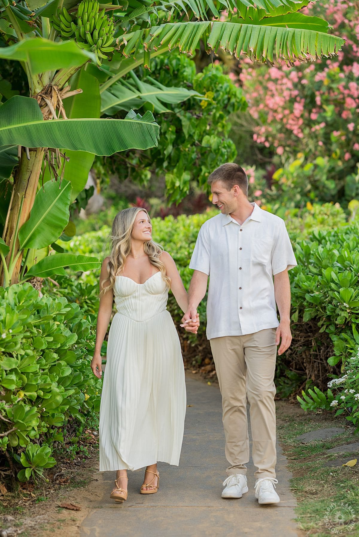 Maui Beach Proposal