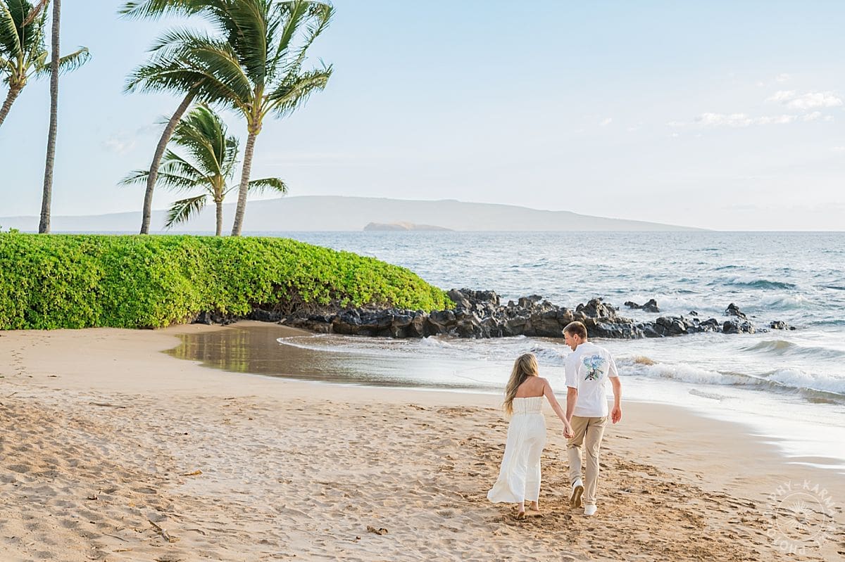 Maui Beach Proposal