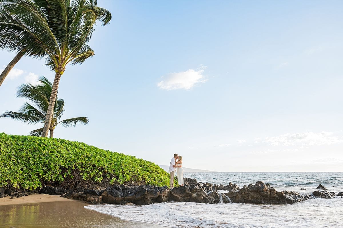 Maui Beach Proposal
