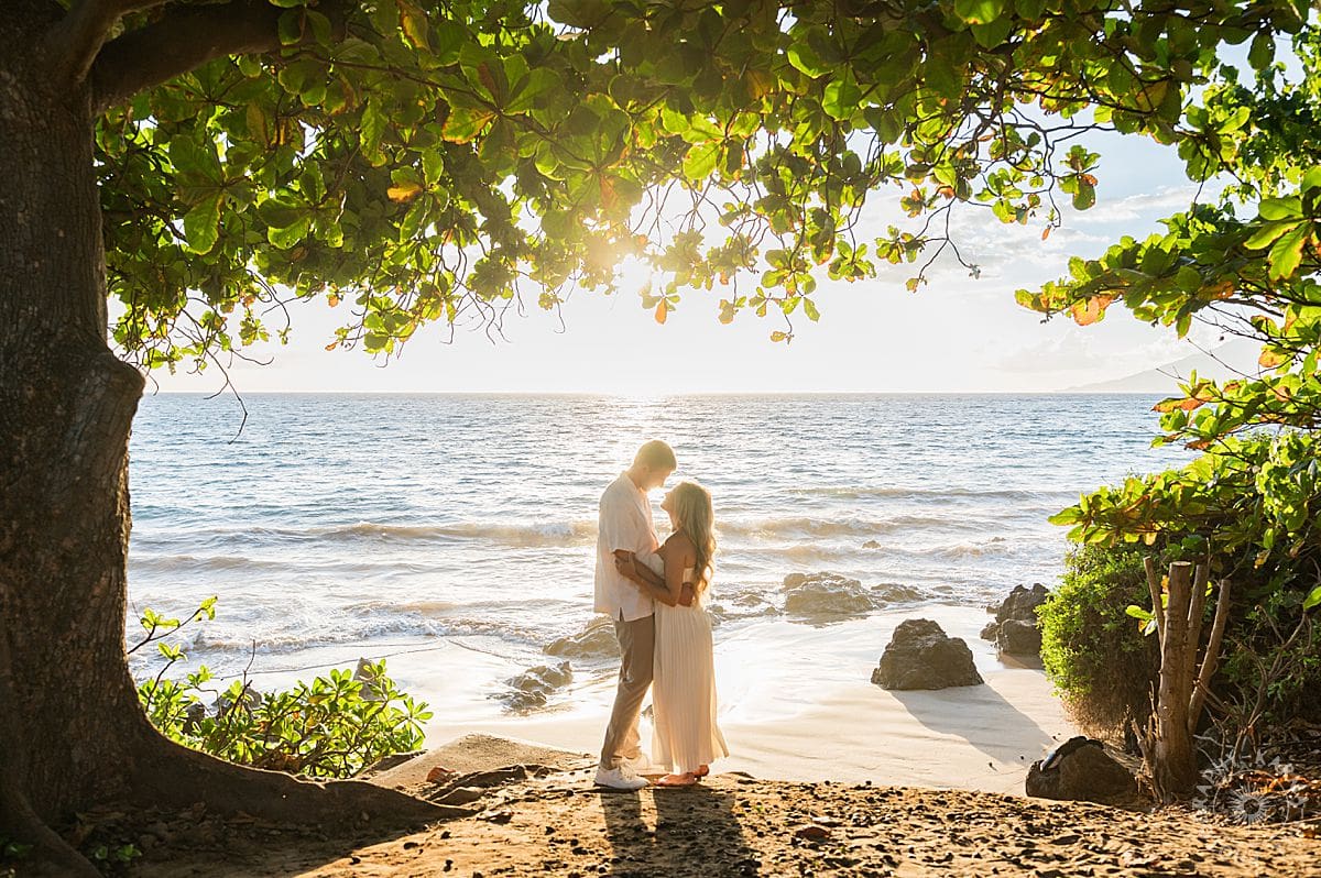 Maui Beach Proposal