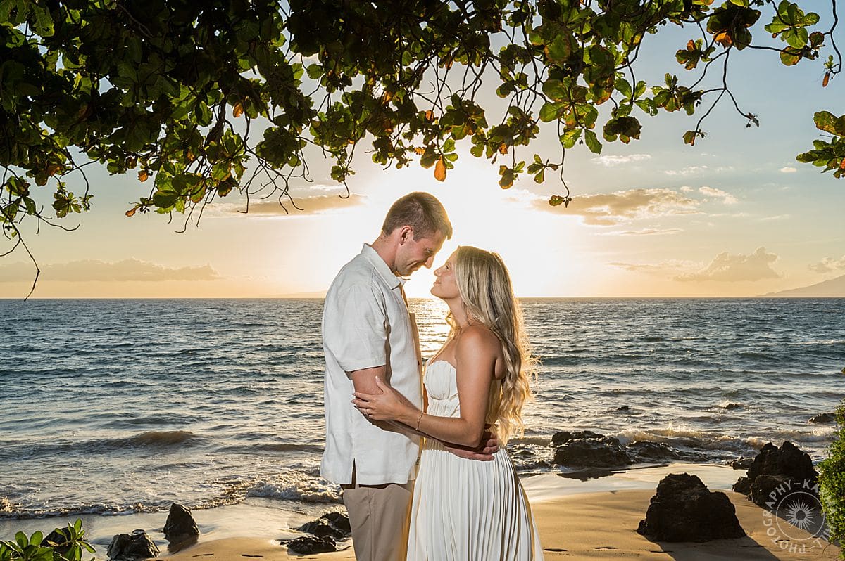 Maui Beach Proposal