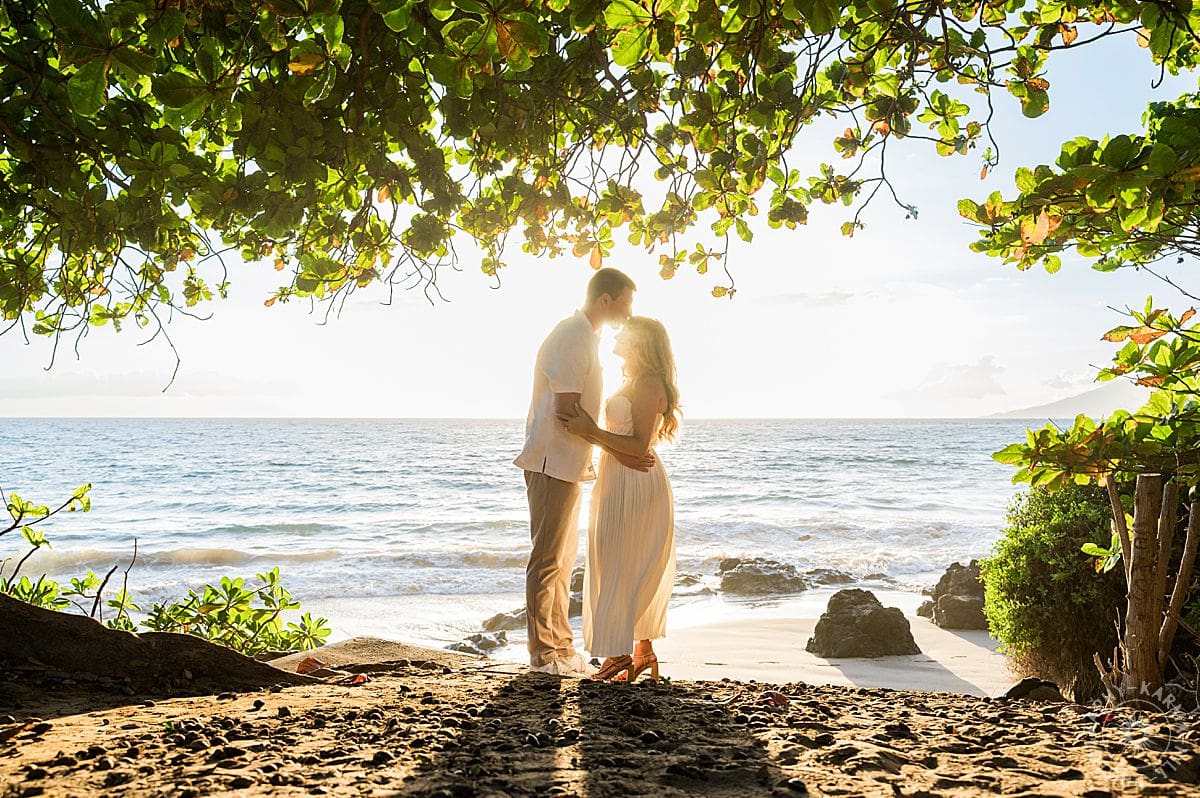 Maui Beach Proposal
