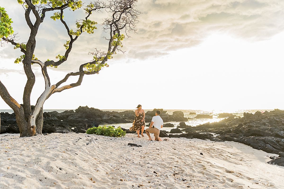 Big Island Proposal