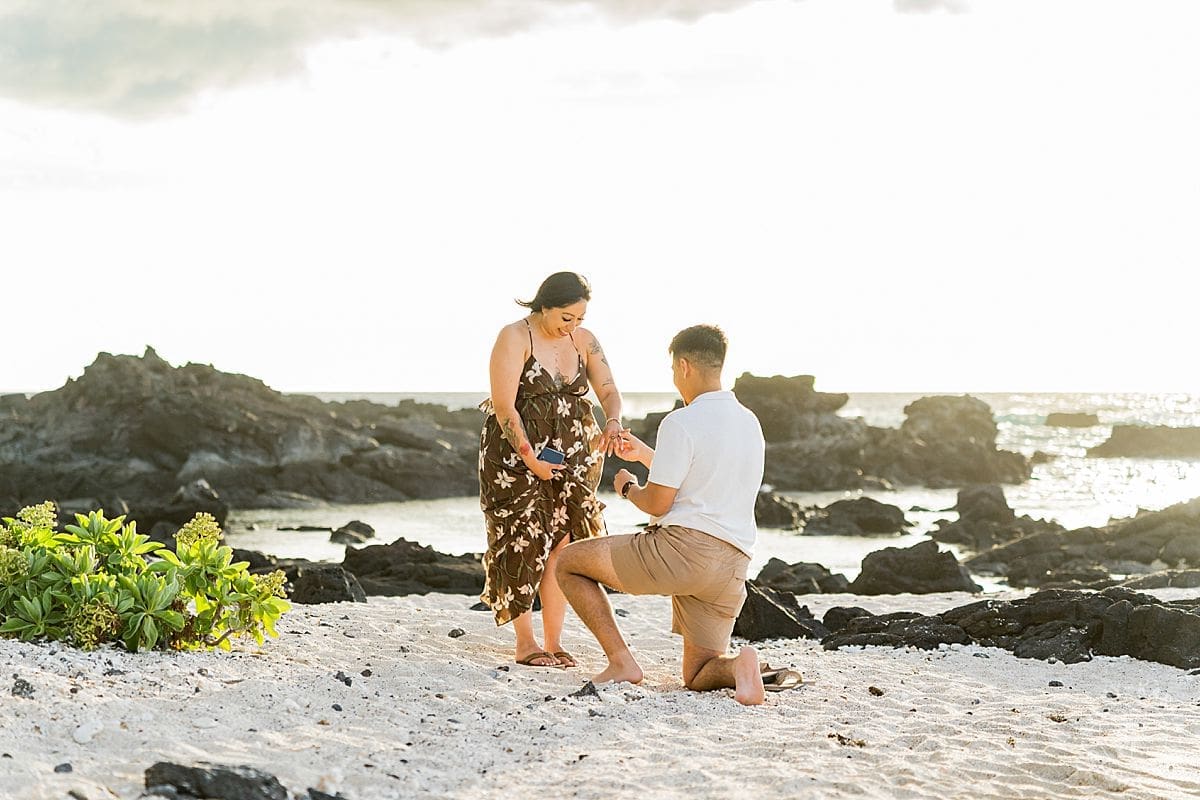 Big Island Proposal