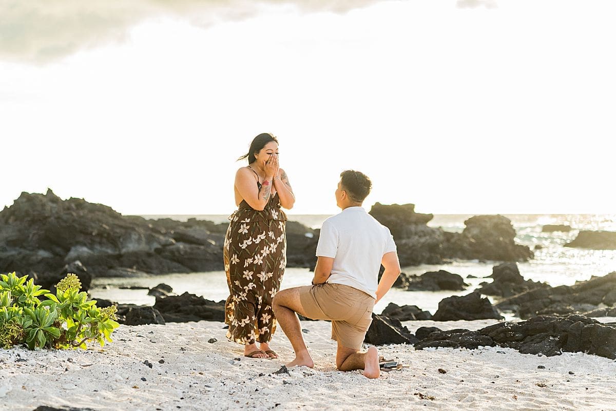 Big Island Proposal