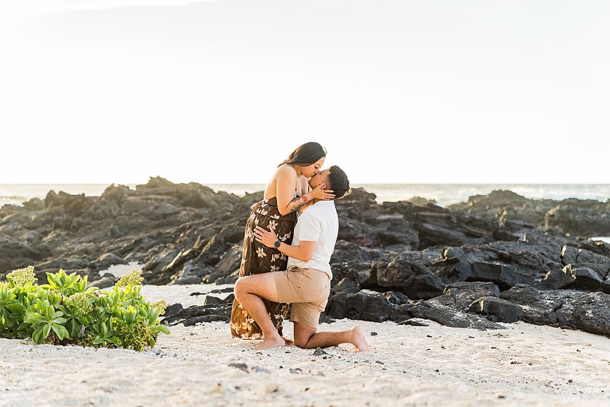 Big Island Proposal