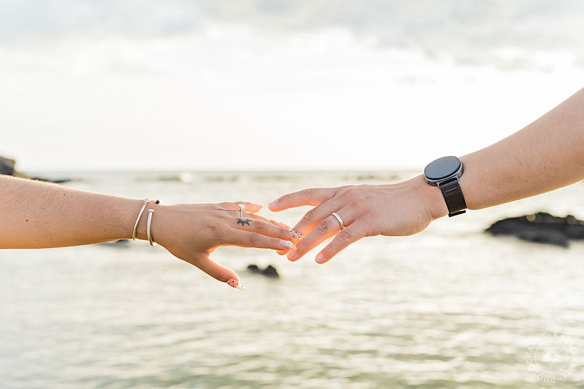 Big Island Proposal