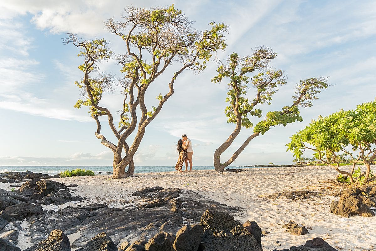 Big Island Proposal