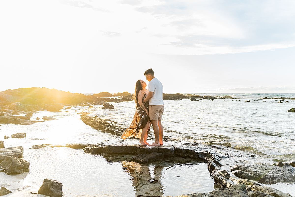 Big Island Proposal