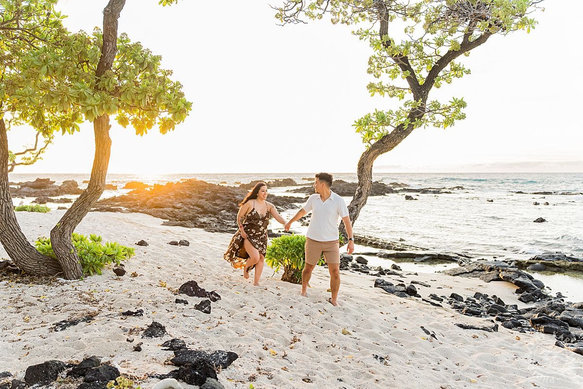 Big Island Proposal