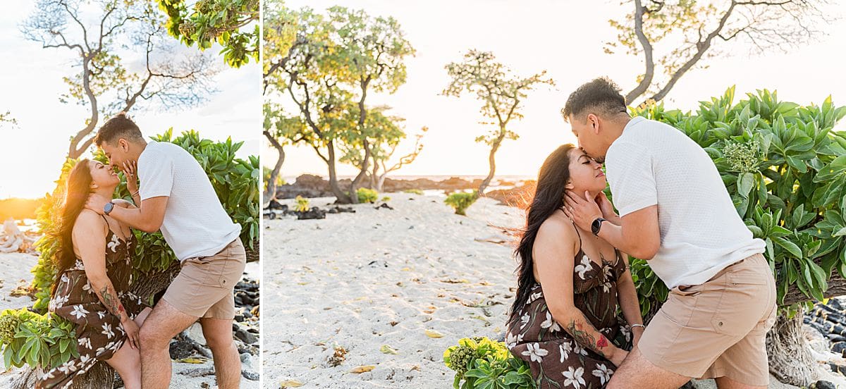 Big Island Proposal