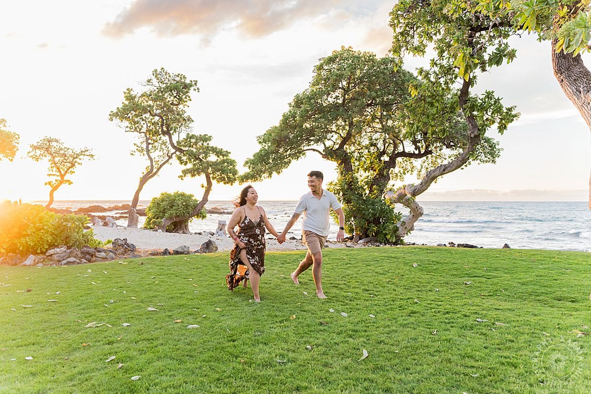 Big Island Proposal