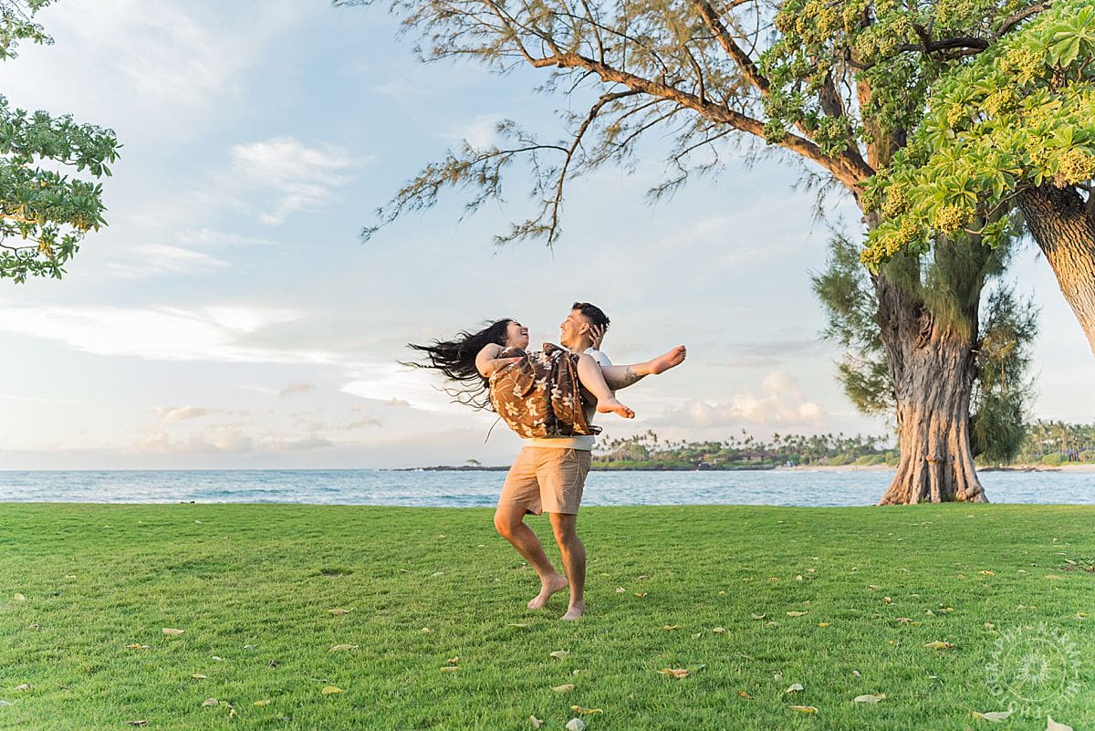 Big Island Proposal