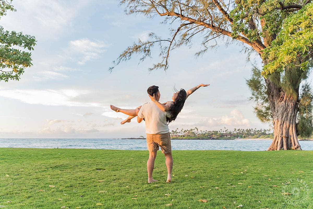 Big Island Proposal