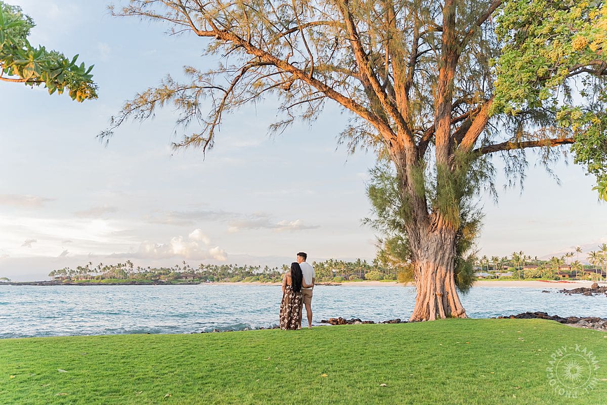 Big Island Proposal