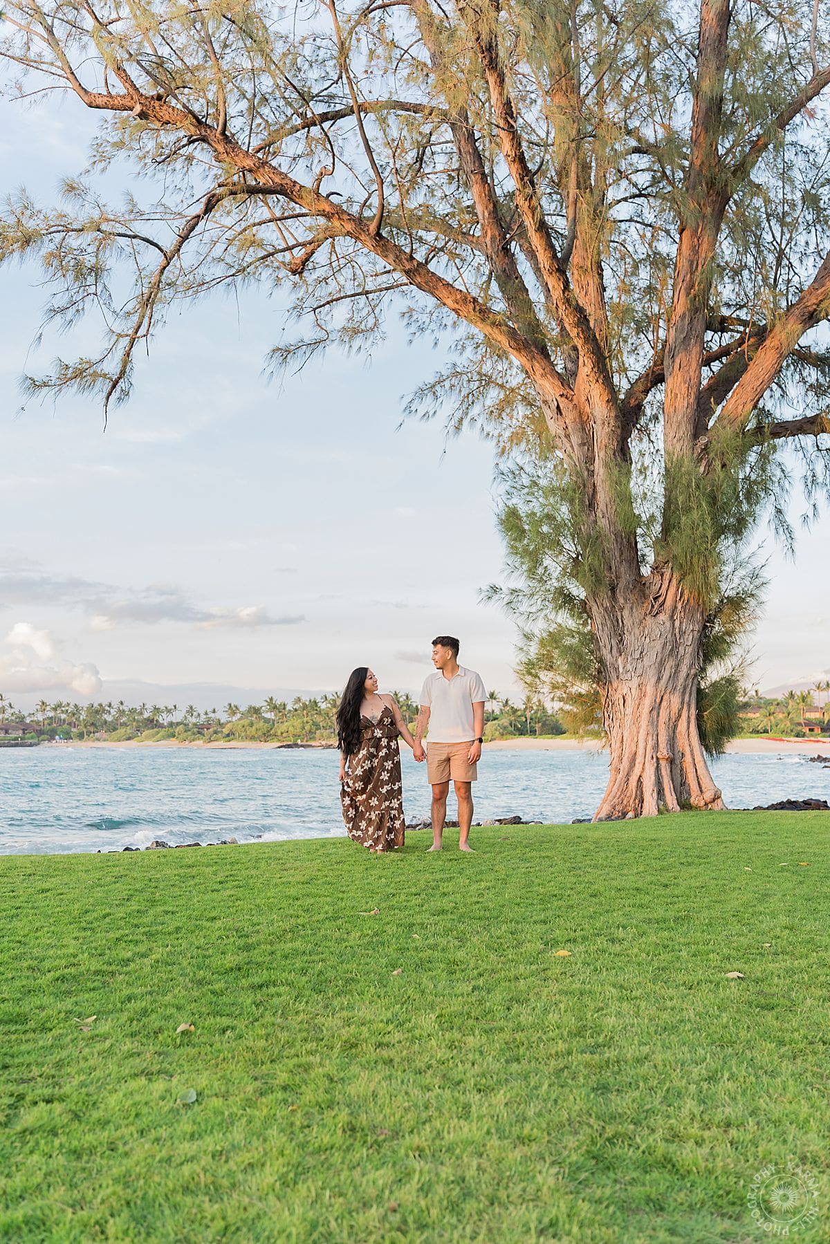 Big Island Proposal
