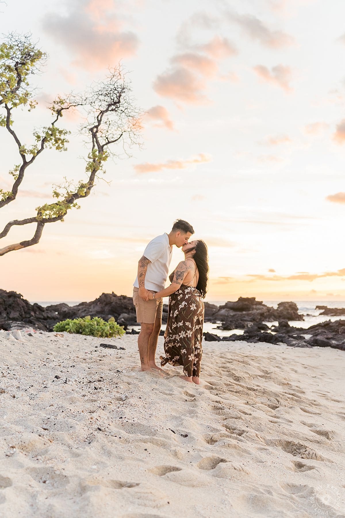 Big Island Proposal