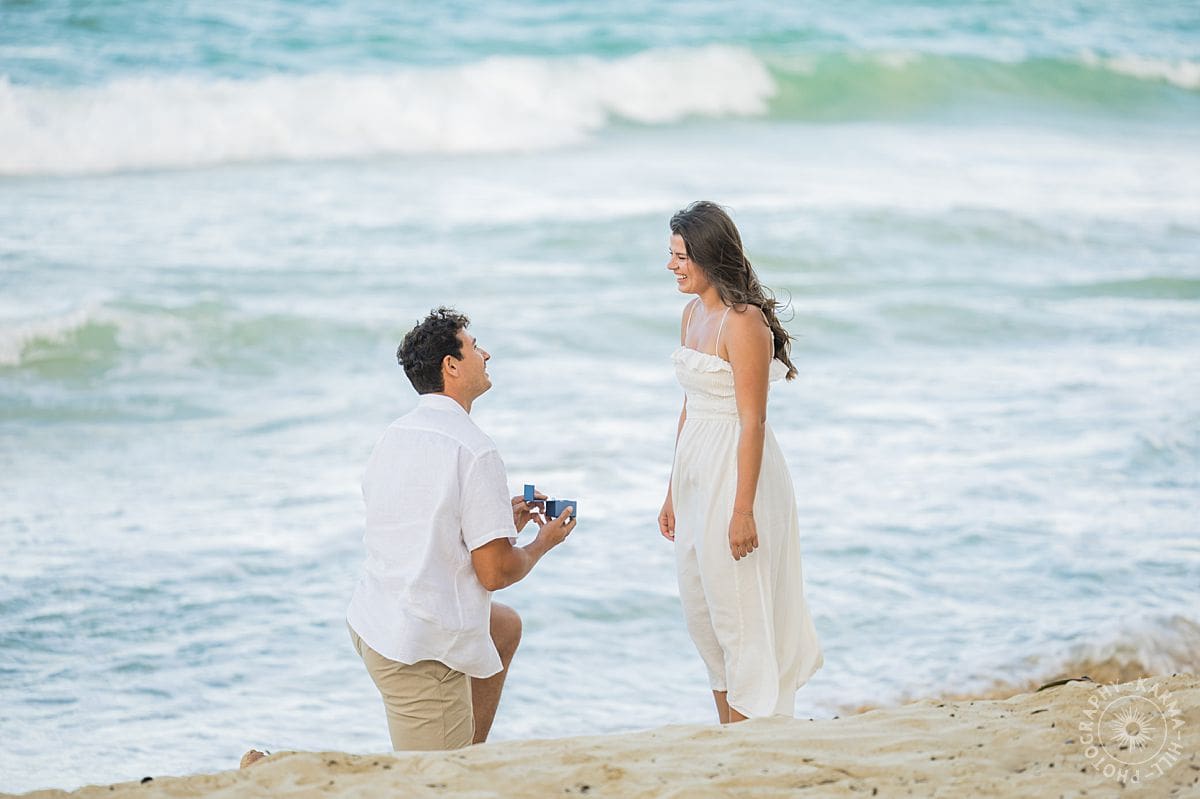 Oahu proposal portrait