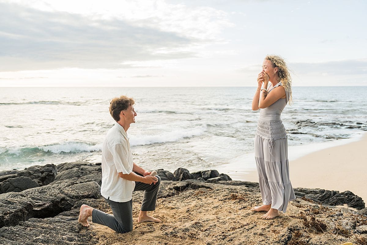 Big Island proposal