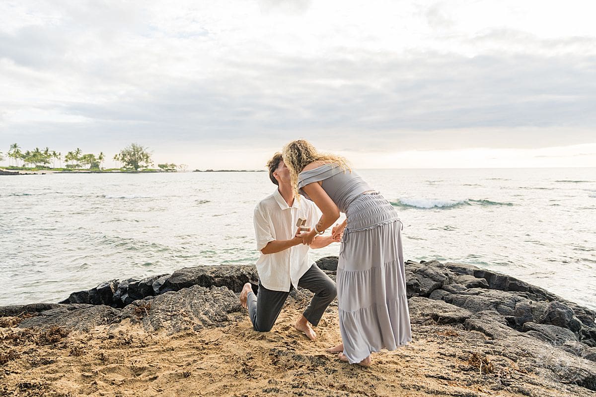 Big Island proposal