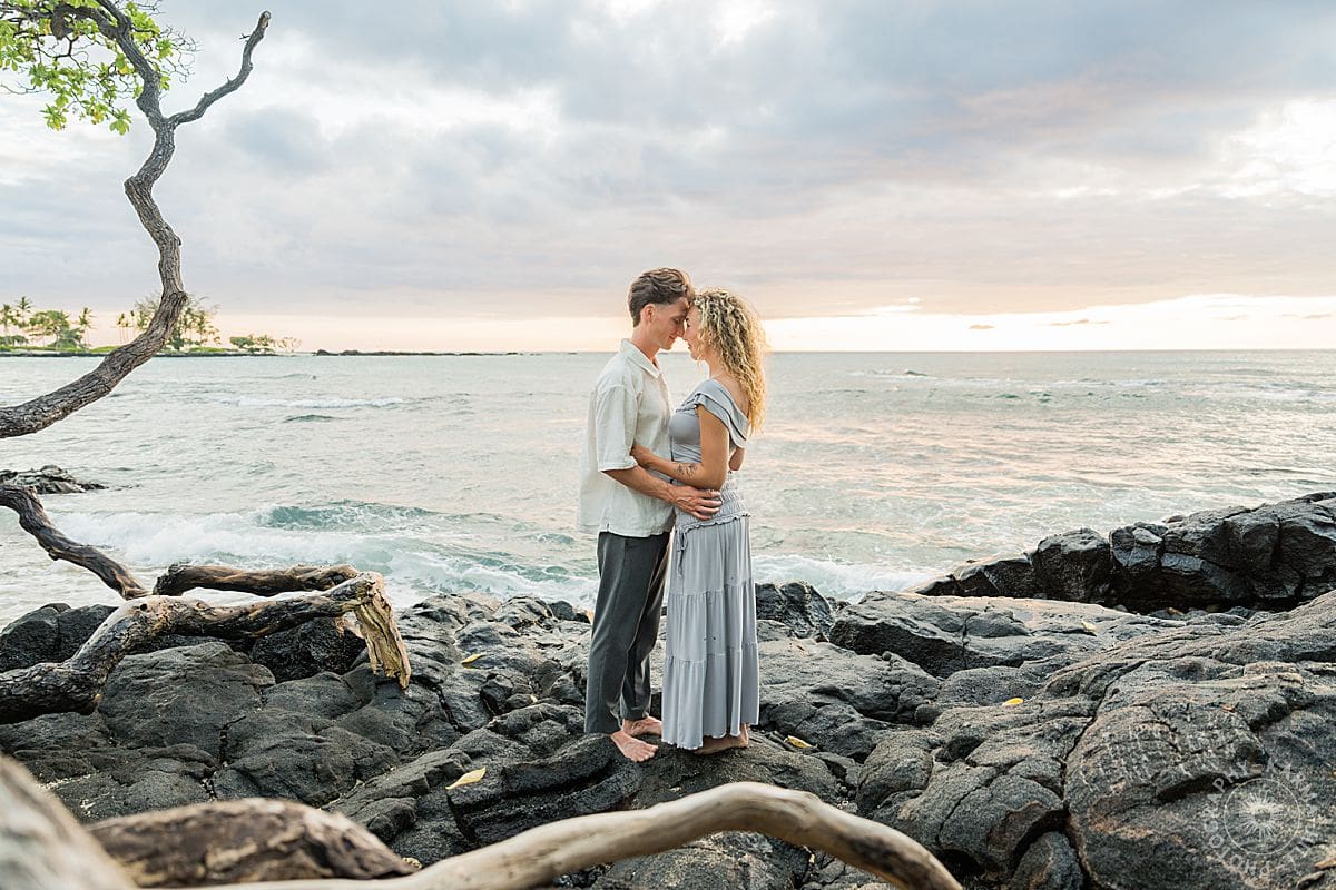 Big Island proposal