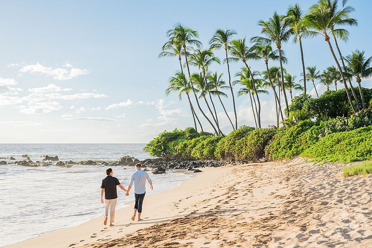 Maui Beach Proposal