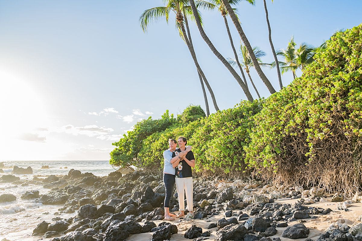 Maui Beach Proposal