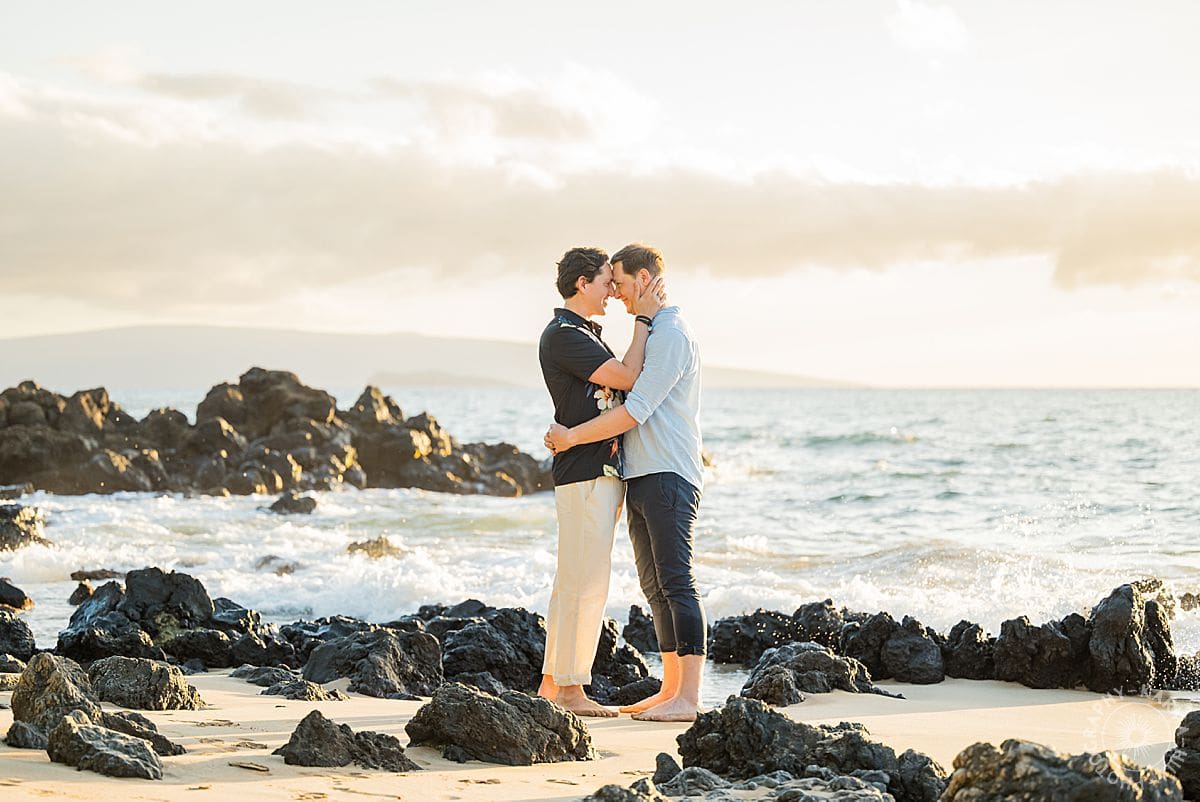 Maui Beach Proposal