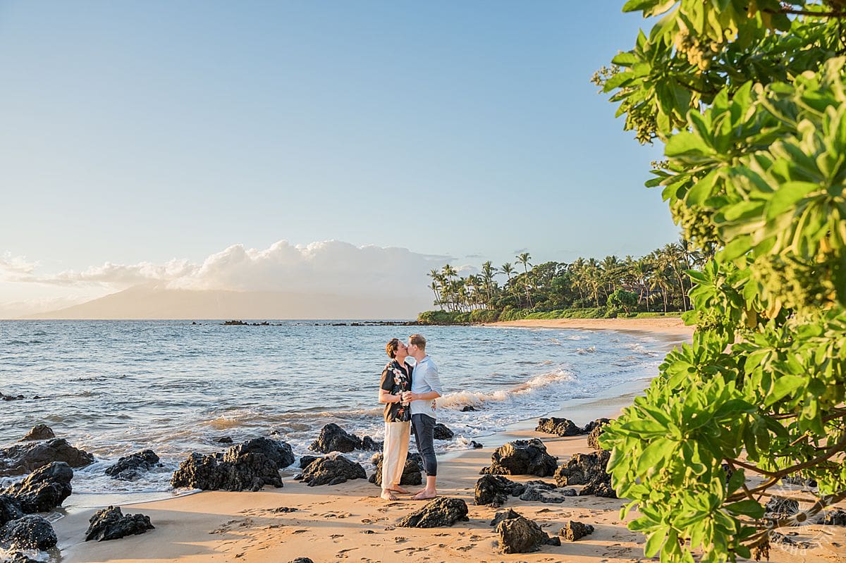 Maui Beach Proposal