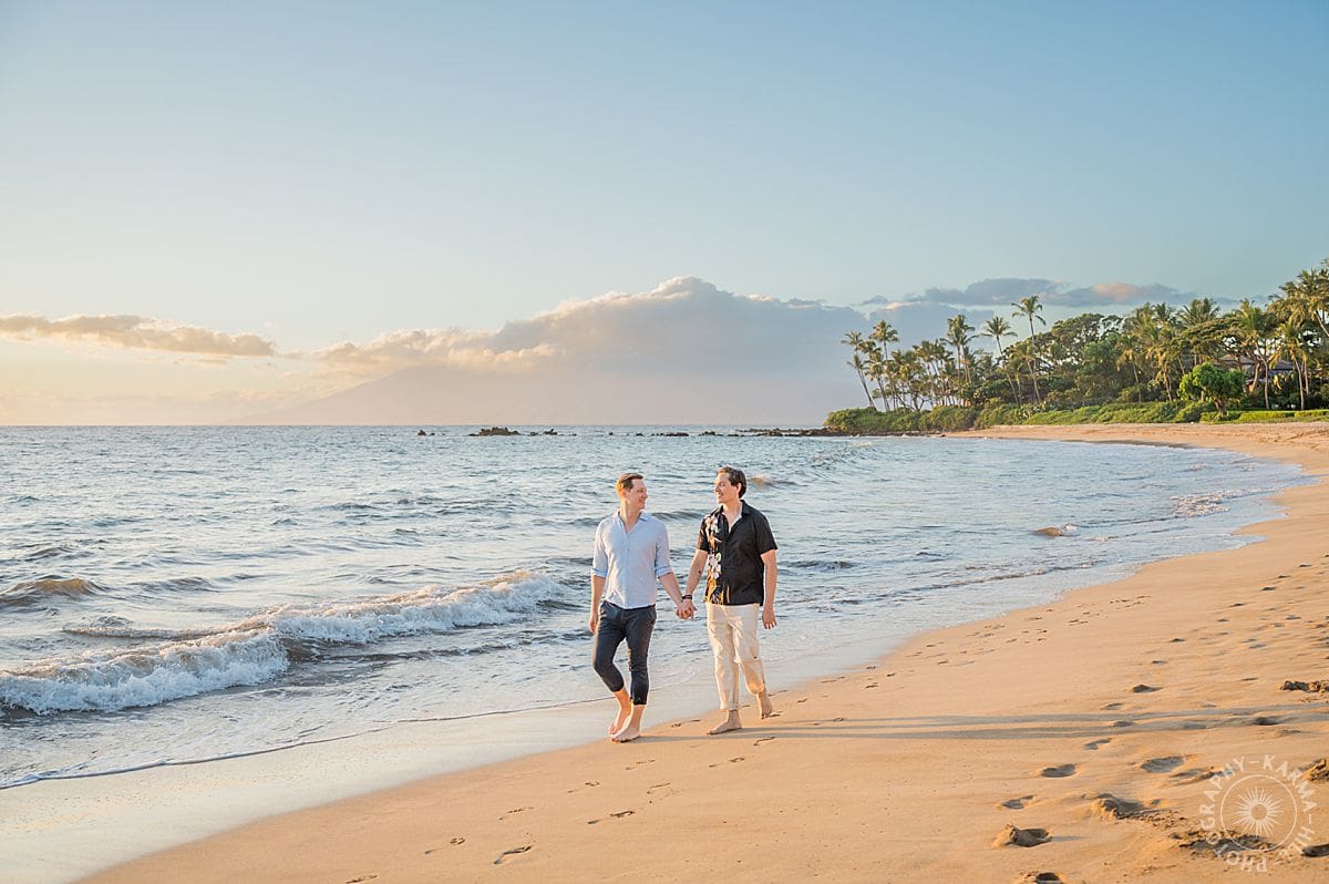 Maui Beach Proposal