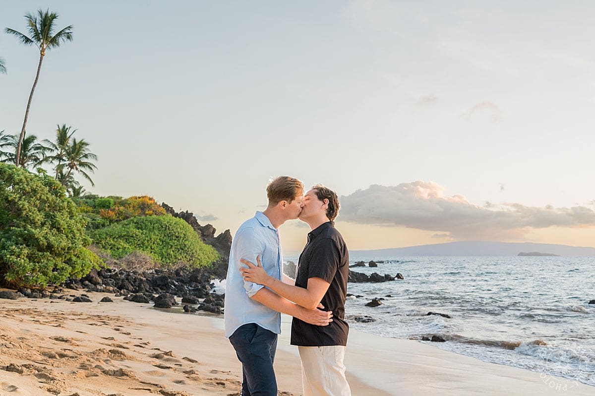 Maui Beach Proposal