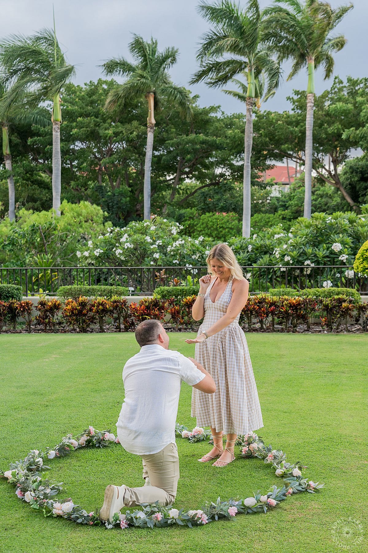 Maui Proposal