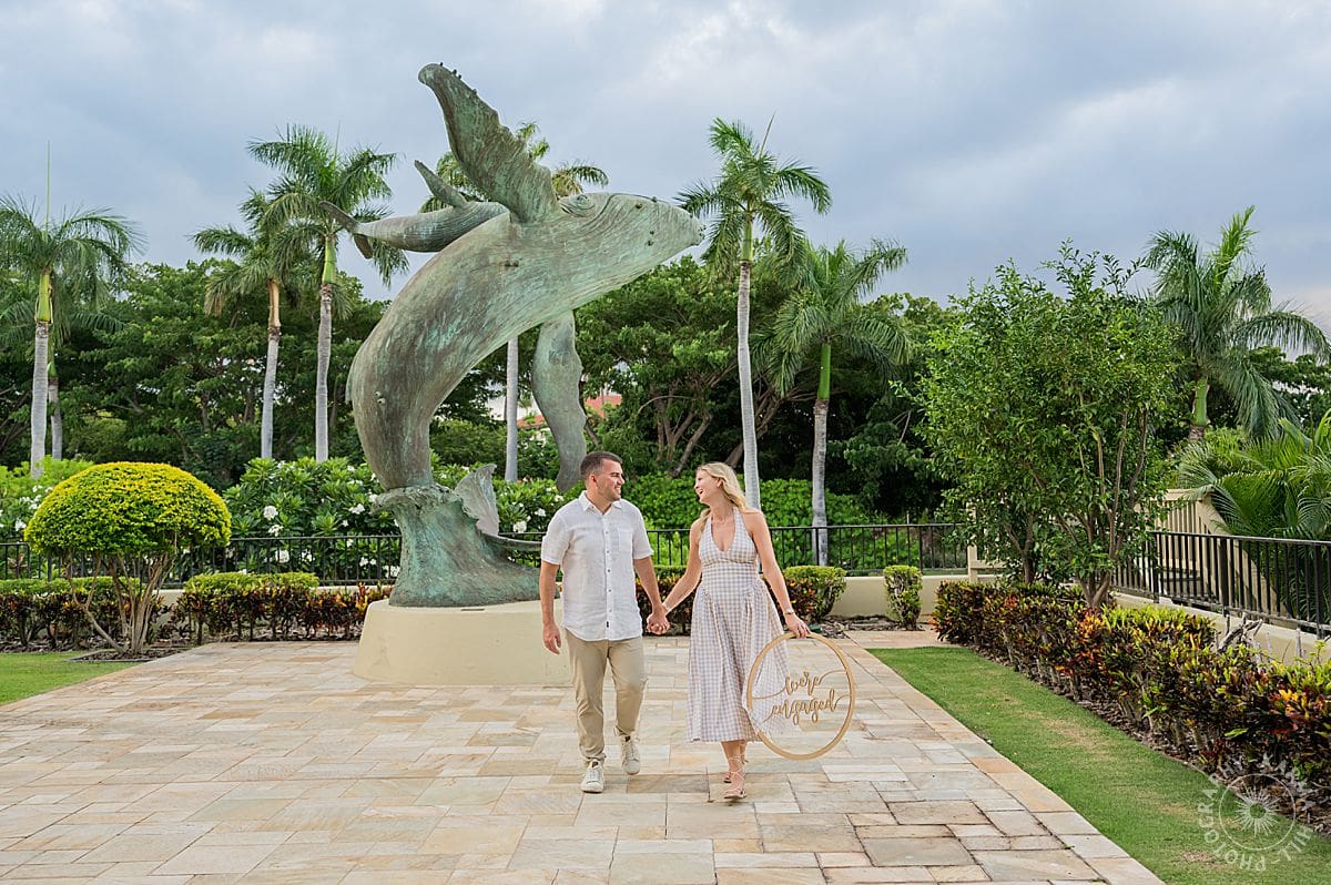 Maui Proposal
